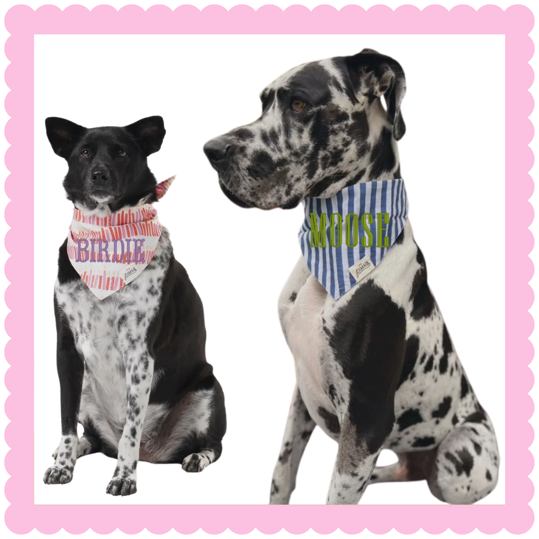 Custom Embroidered Dog Bandana – Personalized Pet Accessory