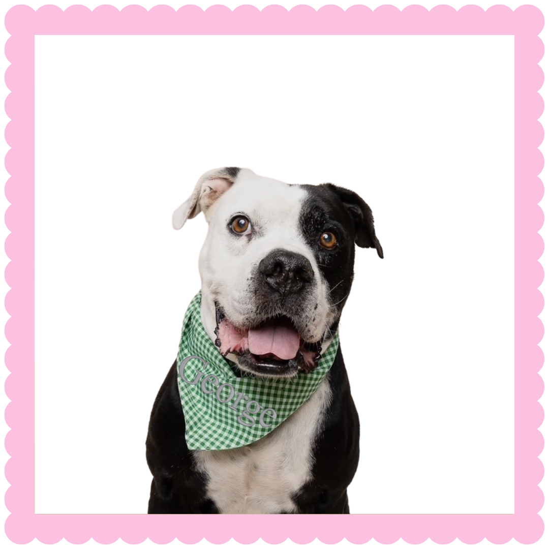 Custom Embroidered Dog Bandana – Personalized Pet Accessory